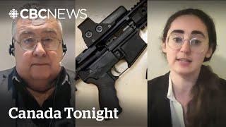 How effective will Ottawa's new gun control measures be? | Canada Tonight