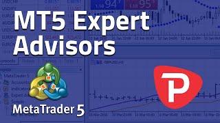 How to use Expert Advisor MetaTrader 5