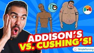 Acing the NCLEX: Mastering Addison's vs. Cushing's Disease