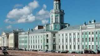 Создание Кунсткамеры – первого российского музея