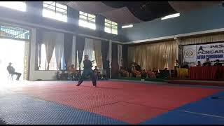 Sang Futri Dspc atraksi di  Festival pencak silat tradisi ppsi Bogor