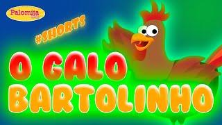 O GALO BARTOLINHO  PALOMITA KIDS SHORTS