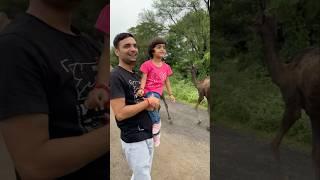 Navya ne camel ko hath laga diya #shorts #trending #viralvideo #shortvideo #unbelievablenavya