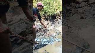 #mancingikan #mancing #mancingikangabusbesar #fishing #mancingmania #ikan