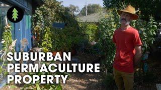Family Transforms Tiny Suburban Backyard into Thriving Permaculture Gardens – Abdallah House Tour