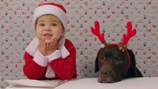 Two-Year-Old Baby Santa and His Dog Wish You the Cutest Merry Christmas Ever!