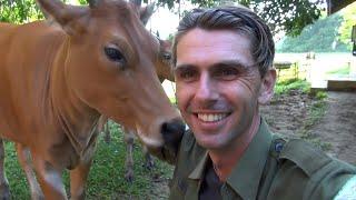 MOMENTS OF LIFE... IN THE JUNGLE OF BORNEO