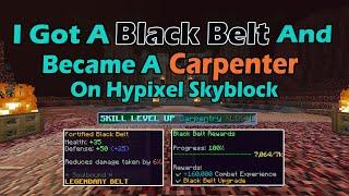 I Got A Black Belt And Became A Carpenter On Hypixel Skyblock