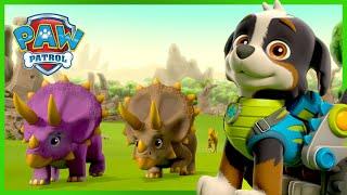 PAW Patrol Rescue Knights Save Baby Dragons and More! | PAW Patrol Compilation | Cartoons for Kids