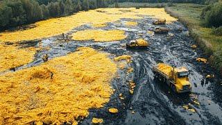 They Dumped Thousand Tons of Banana Peels in the Forest, a Few Years Later the Result Was Shocking