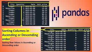 Sorting Columns and Row Values in a Pandas Dataframe in Python | Sort Columns using Pandas | Sorting