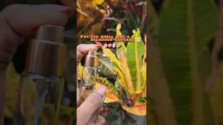 Plumgoodness smokin vanilla edp  *expensive fragrance but affordable  *Must try* #shorts #yt