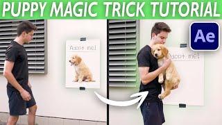 GRABBING DOG FROM POSTER (Zach King Style) - After Effects VFX Tutorial