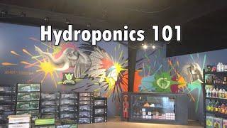 Hydroponics 101