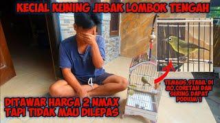 SEHARGA 2 NMAX | REVIEW KECIAL KUNING JUARA STABIL ASAL LOMBOK TENGAH TEMBUS 80 CORETAN