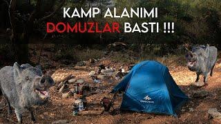 The Scariest Camping Experience - Buca Kaynaklar - Solo Camping