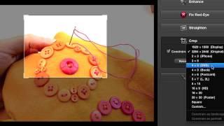 How to Use a Cropping Tool - Take Better Tutorial Photos Blog Hop