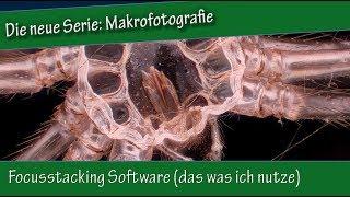 Makrofotografie: 17. Focusstacking Software (meine) Photoshop & Zerene Stacker