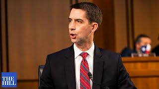 Cotton questions CULTURE of the Navy at hearing