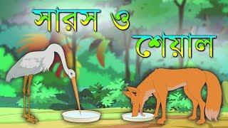 The Crane and the Fox | সারস ও শেয়ালের গল্প