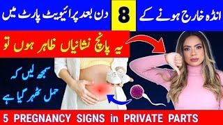 5 Pregnancy Signs in Female Private Parts |5 Signs Of Successful Implantation 8 Days After Ovulation