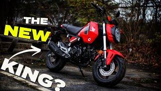 New Honda Grom 125 Review | Better than the Monkey, Dax & Super Cub Motorcycles?