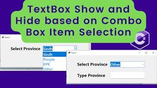 How to Show or Hide textBox  based on Combo Box Item Selection