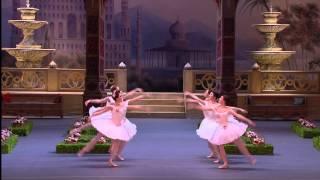 Extract Le Corsair Act II Bolshoi - Pathé Live