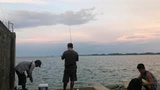 ML setup/BAIT & WAIT mamaw/Fishing Philippines