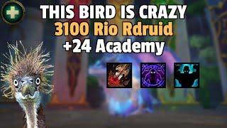 THIS BIRD IS CRAZY! +24 Academy Ft. Naowh, Gingi, Canexx and Pylle