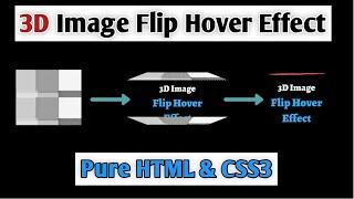 3D Image Flip Hover Effect || HTML & CSS3 || Full Tutorial