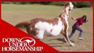 Once Bitten Twice Shy: How to Train a Dangerous, Dominant Horse