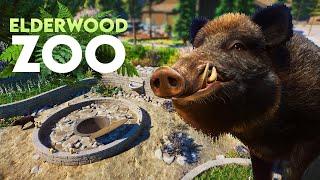 Building A Lodge & Garden For Wild Boars In Planet Zoo | Elderwood Zoo