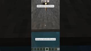 Minecraft Secret Room | Ruangan Rahasia Minecraft #shorts #minecraft #minecraftshorts