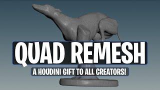 Houdini 20 - New Quad Remesh (Beta)!