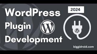 WordPress Plugin Development | 2024