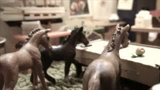 Jasmin & Black - Schleich School Extra (Schleich Horses Music Video)