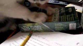 Dixon Ticonderoga pencils are the cat's meow!