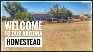 Starting Our Homestead In The Southern Arizona Desert - Our First Video  #gardening #zone9