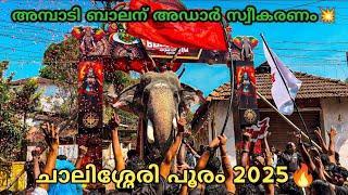 അമ്പാടി ബാലന് അഡാർ സ്വീകരണം Chalissery Pooram 2025 | Ambadi Balan Elephant