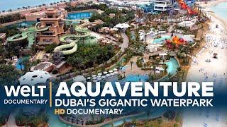 AQUAVENTURE - Dubai’s Gigantic Waterpark | Full Documentary