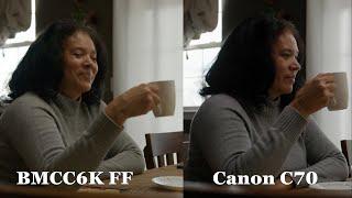 Blackmagic Cinema Camera 6K Full Frame | Dynamic Range Breakdown | VS Canon C70