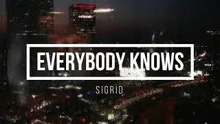 Everybody knows - Sigrid - 1 hour