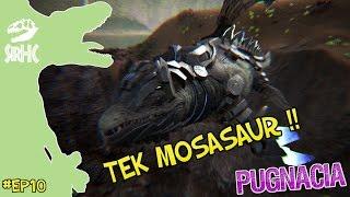 TEK MOSASAUR !! - EP10 - DANSK ARK PUGNACIA MODDED