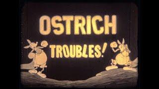 Kiko The Kangaroo - Ostrich Troubles!  Produced by Paul Terry Toons  Castle Films