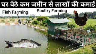 ऐसा अनोखा फार्म दिल खुश कर देगा | Desi Poultry Farming + Fish Farming  | Integrated Farming In India