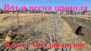 #376 Весна пришла в село Молдаванское/сезон сад и огород 2025 открыт.