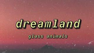 glass animals - dreamland (lyrics)