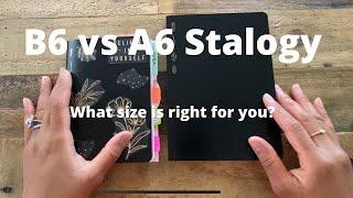 B6 vs A6 Stalogy || What size is right for you?