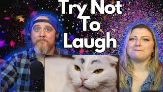 UNUSUAL MEMES COMPILATION V247 @UnusualVideos | HatGuy & @gnarlynikki TRY NOT TO LAUGH